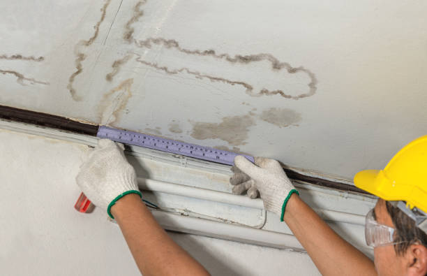 Reliable Mold Remediation contractor in Carleton, MI by Water Damage Irwin